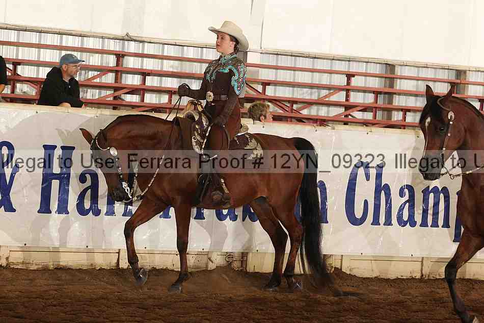 Proof 12yn_09323