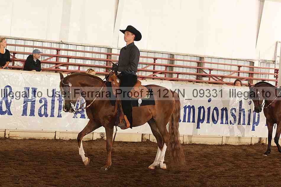 Proof 12yn_09331
