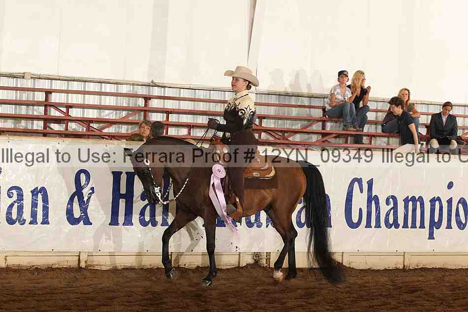 Proof 12yn_09349