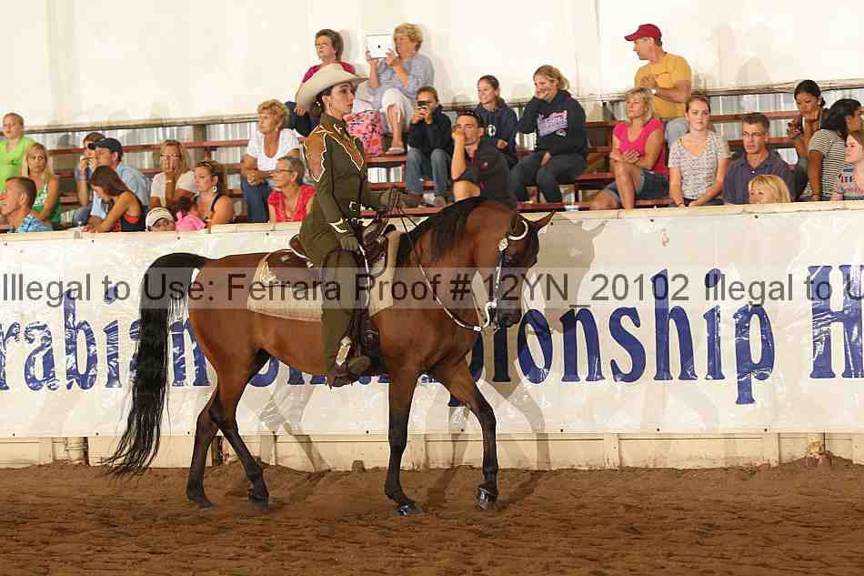 Proof 12yn_20102