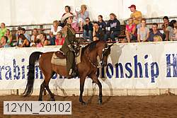 12yn_20102 proof