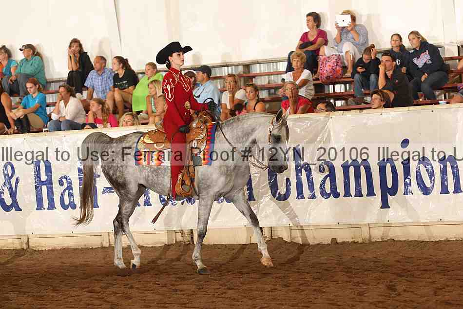 Proof 12yn_20106