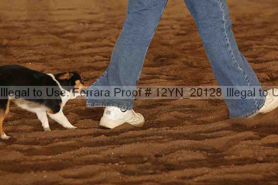 Proof 12yn_20128