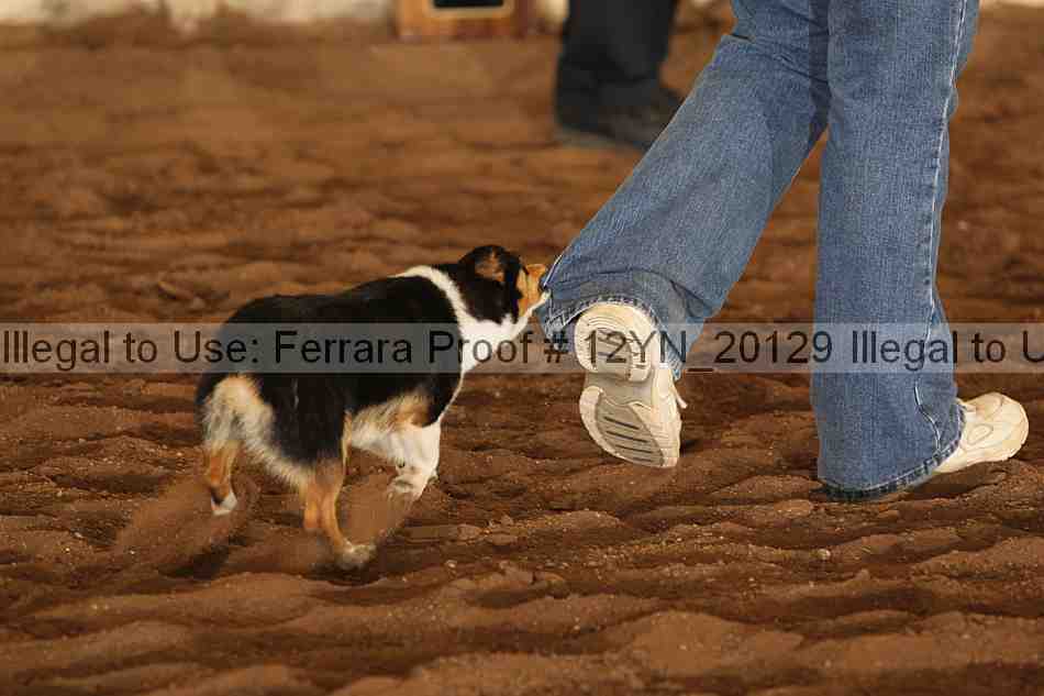 Proof 12yn_20129