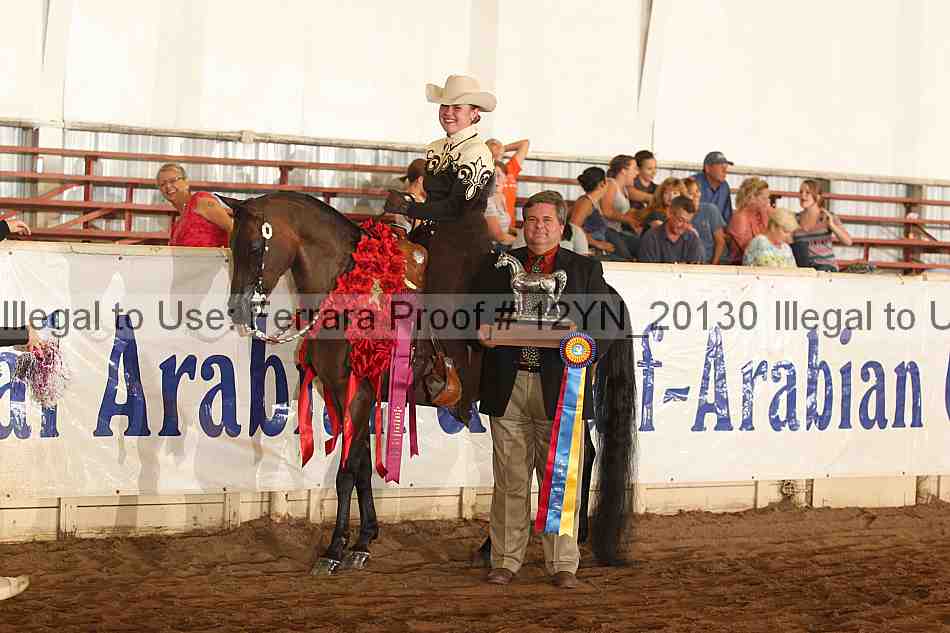 Proof 12yn_20130
