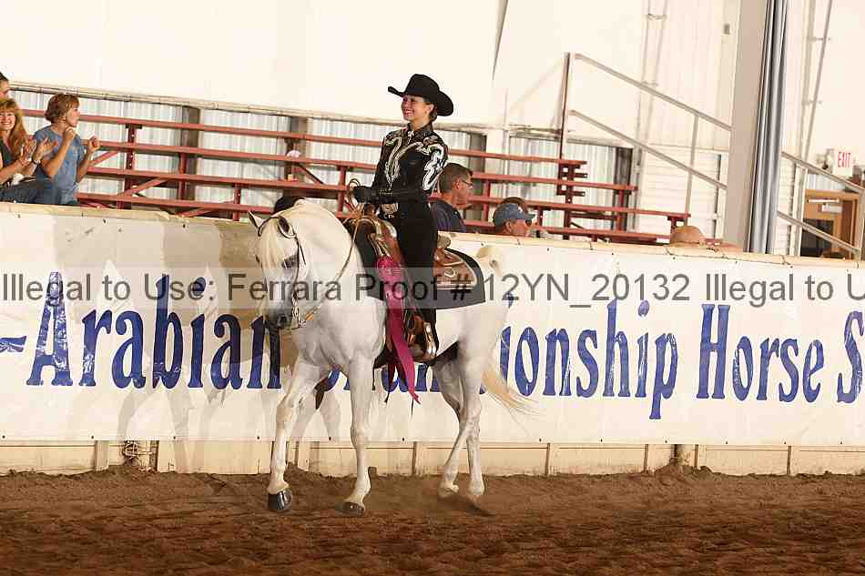 Proof 12yn_20132