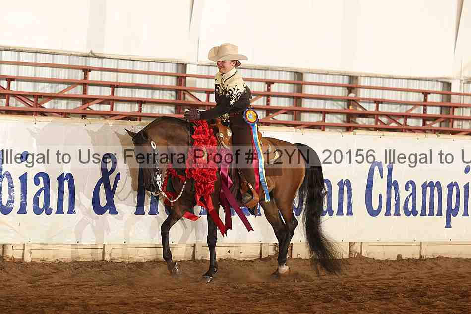 Proof 12yn_20156