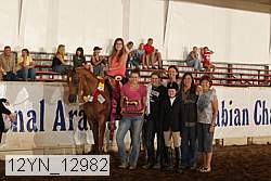12yn_12982 proof