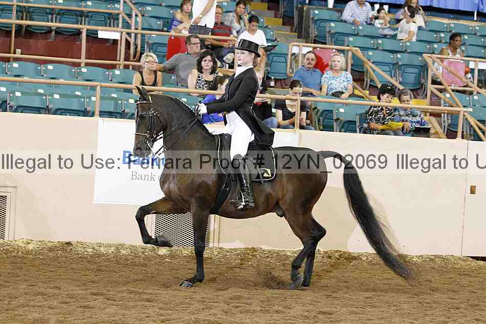 Proof 12yn_02069