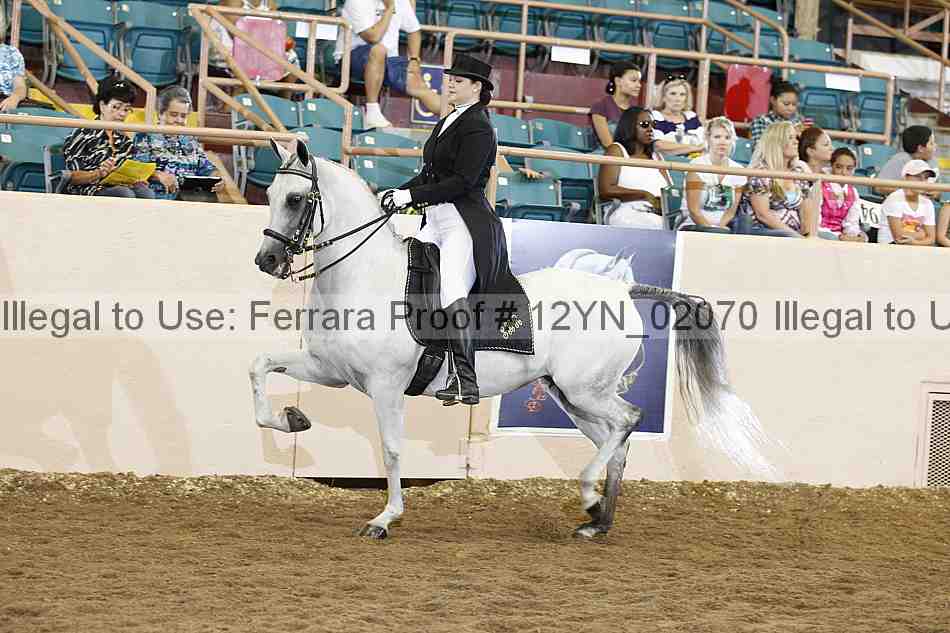 Proof 12yn_02070