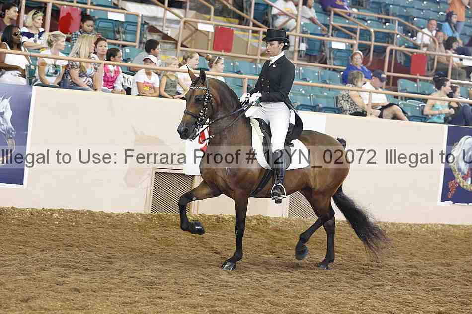 Proof 12yn_02072
