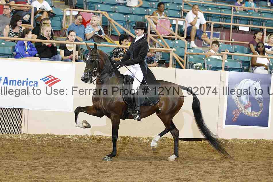 Proof 12yn_02074