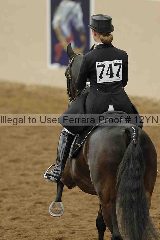 Proof 12yn_02075