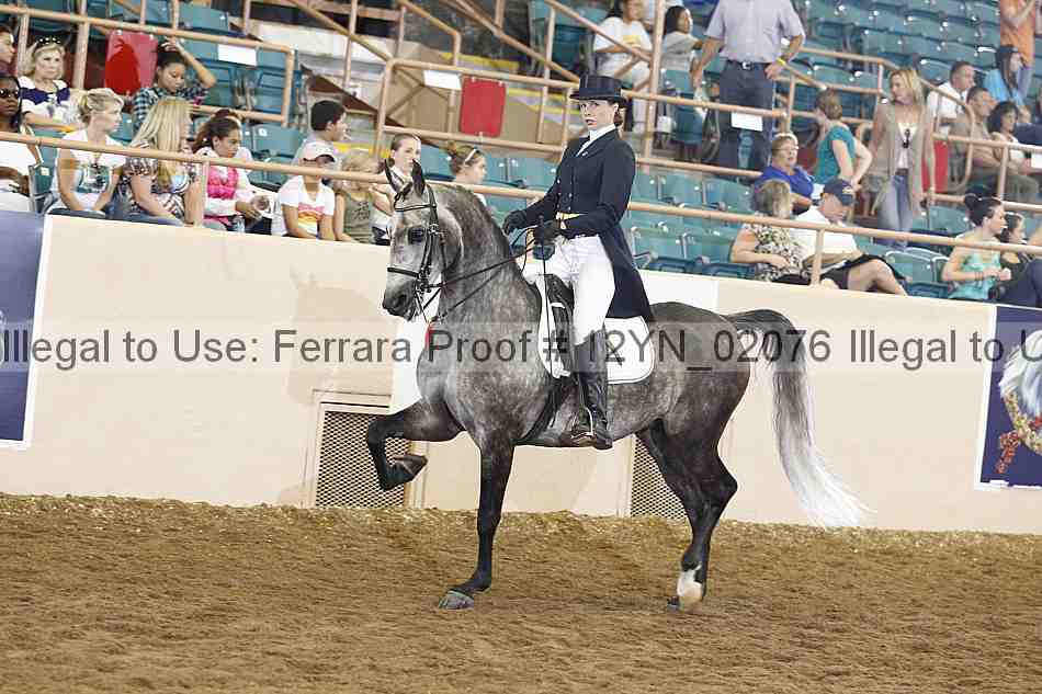 Proof 12yn_02076