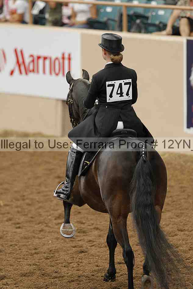 Proof 12yn_02077