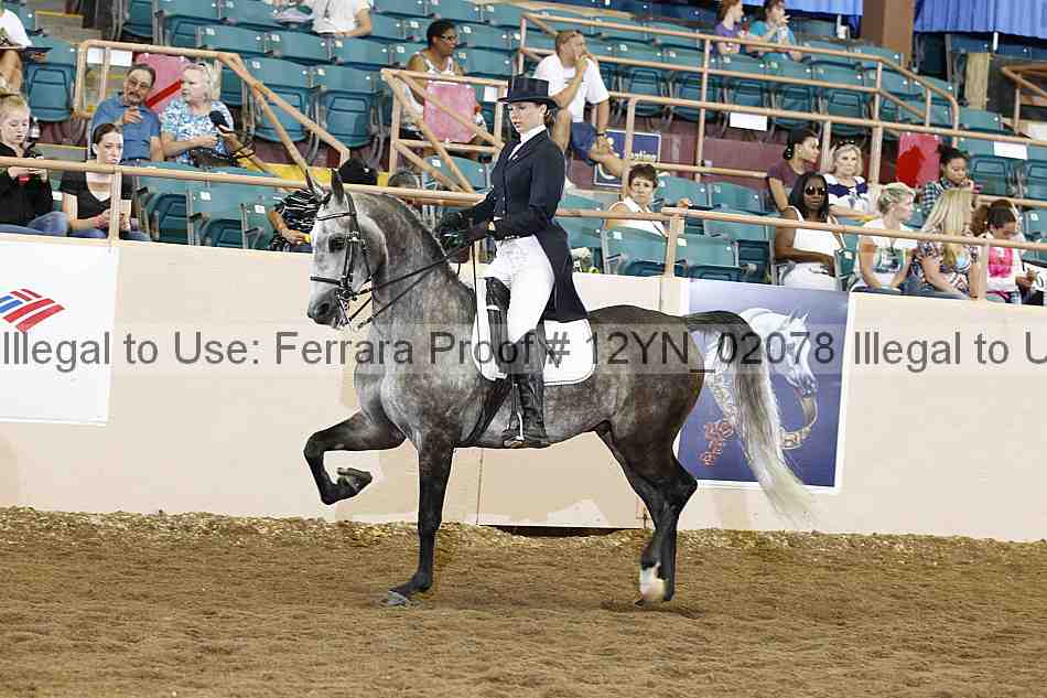 Proof 12yn_02078