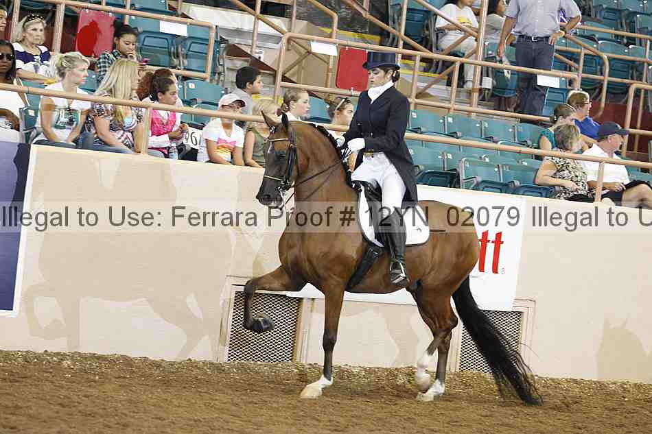 Proof 12yn_02079