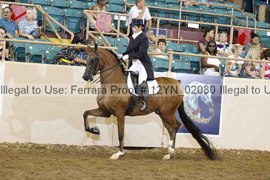 Proof 12yn_02080