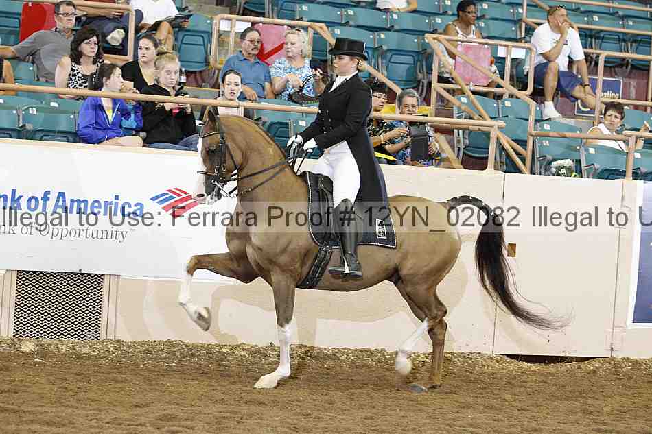 Proof 12yn_02082