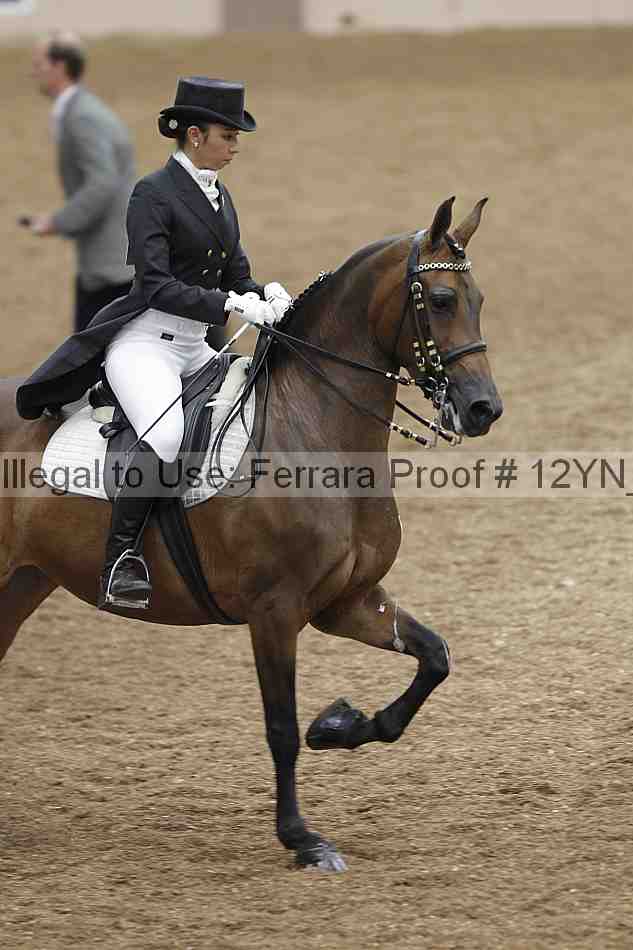Proof 12yn_02083