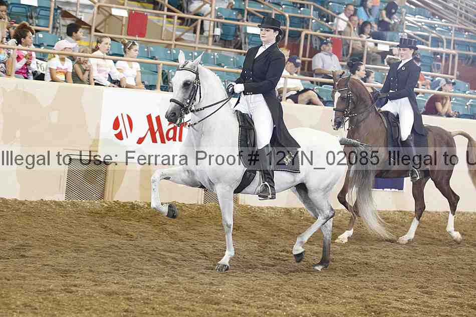 Proof 12yn_02085