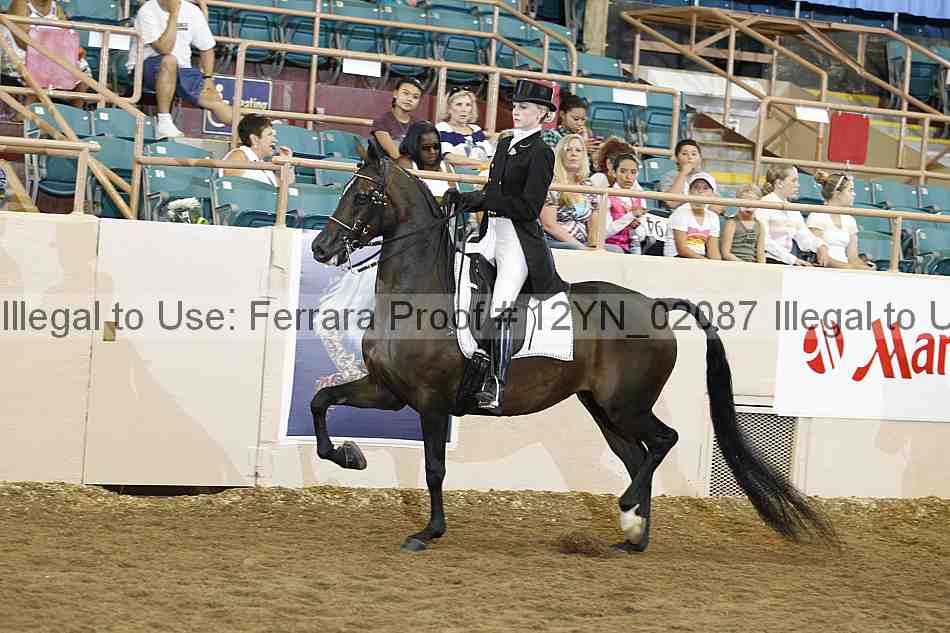 Proof 12yn_02087