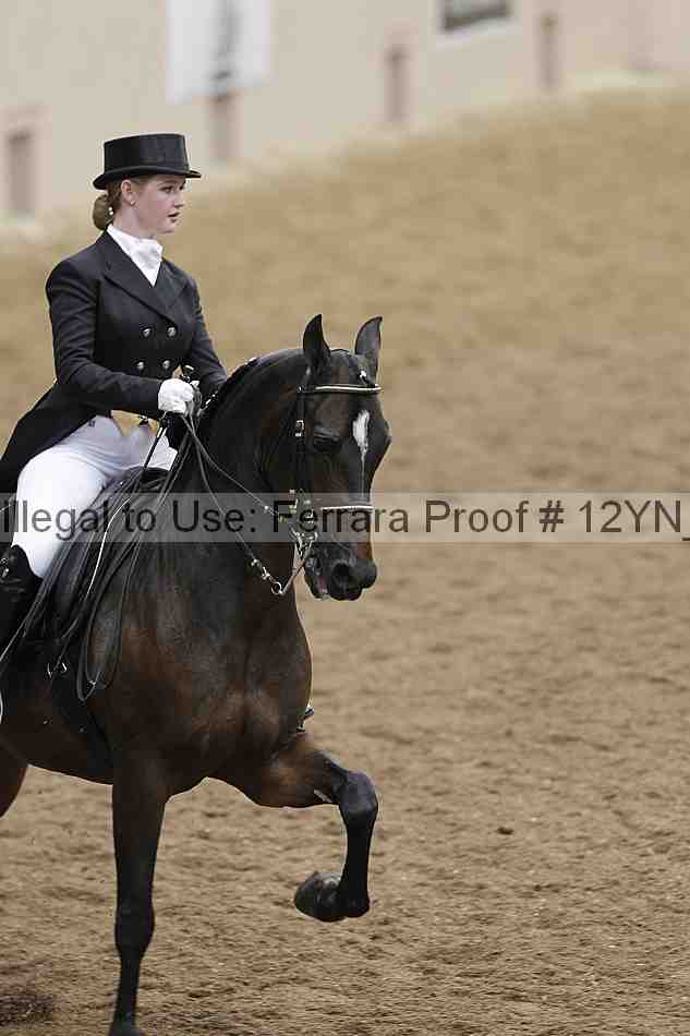 Proof 12yn_02091