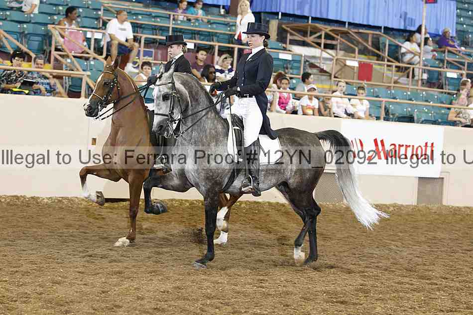 Proof 12yn_02092