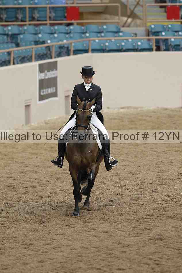 Proof 12yn_02096