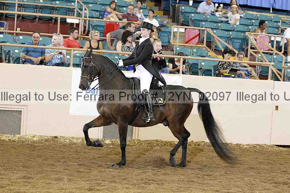 Proof 12yn_02097