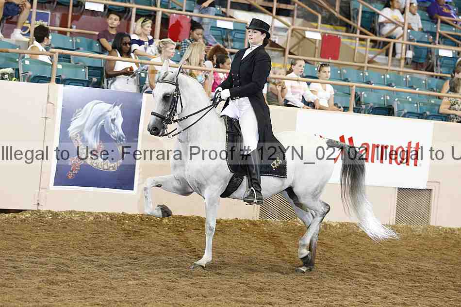 Proof 12yn_02102