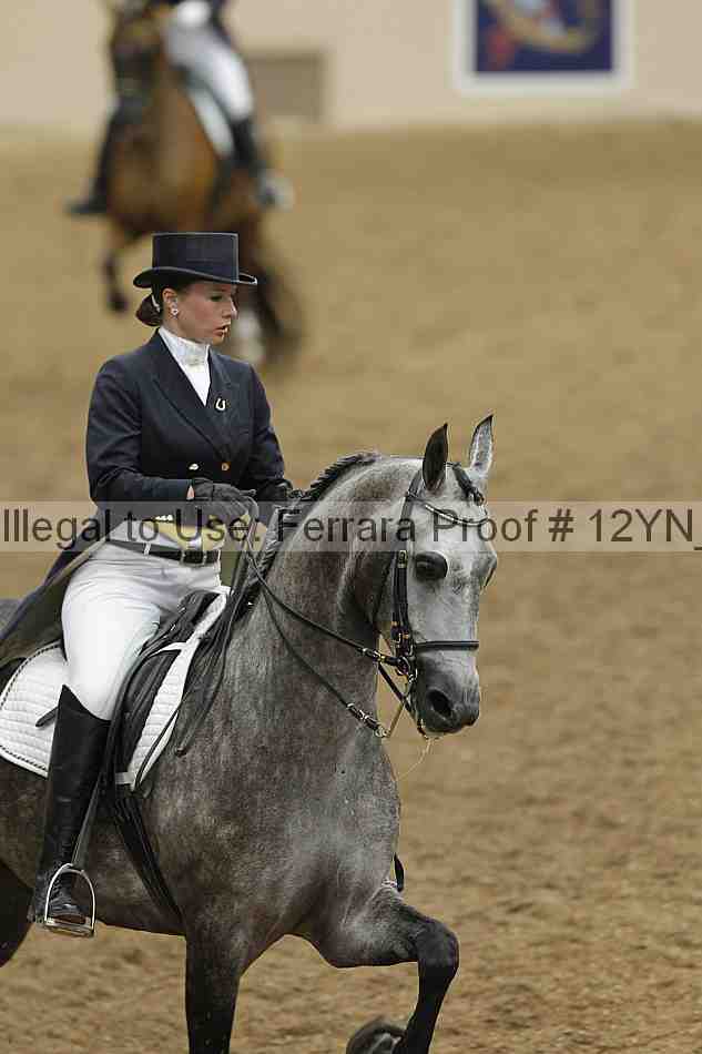 Proof 12yn_02104