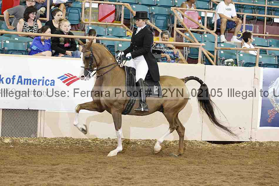 Proof 12yn_02105