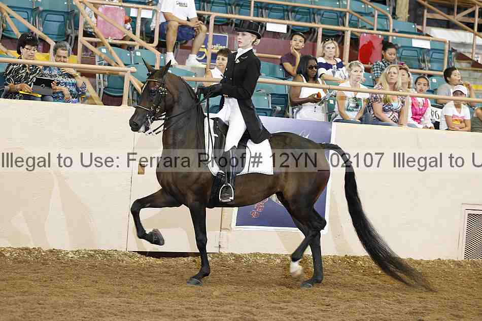 Proof 12yn_02107