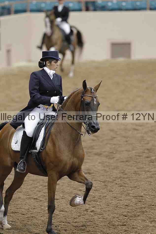 Proof 12yn_02108