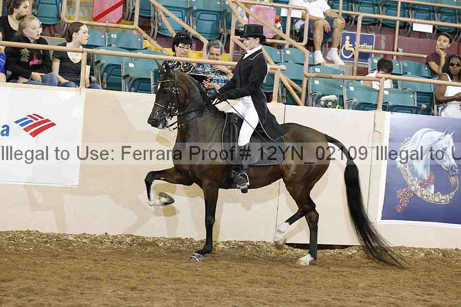 Proof 12yn_02109