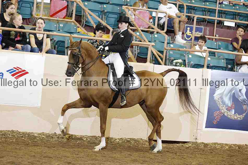 Proof 12yn_02111