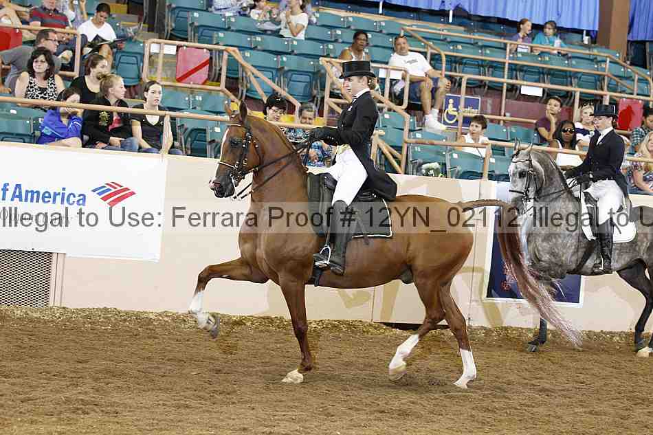 Proof 12yn_02112