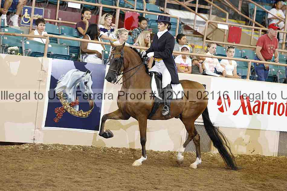 Proof 12yn_02116