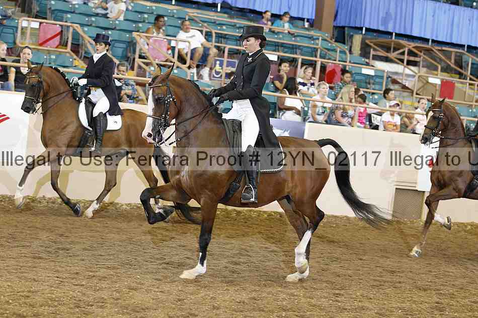 Proof 12yn_02117