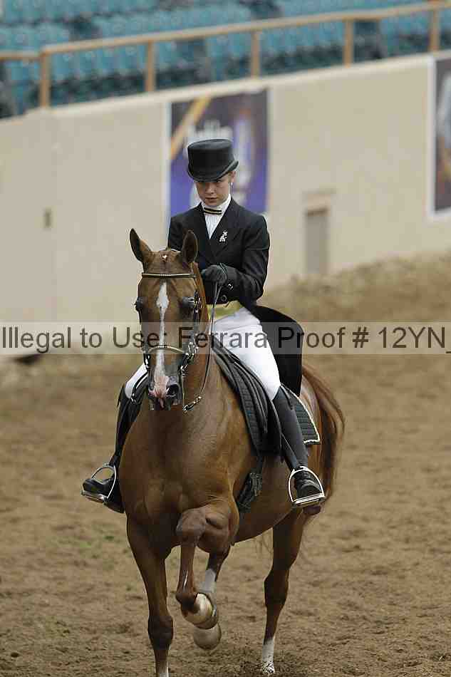 Proof 12yn_02122