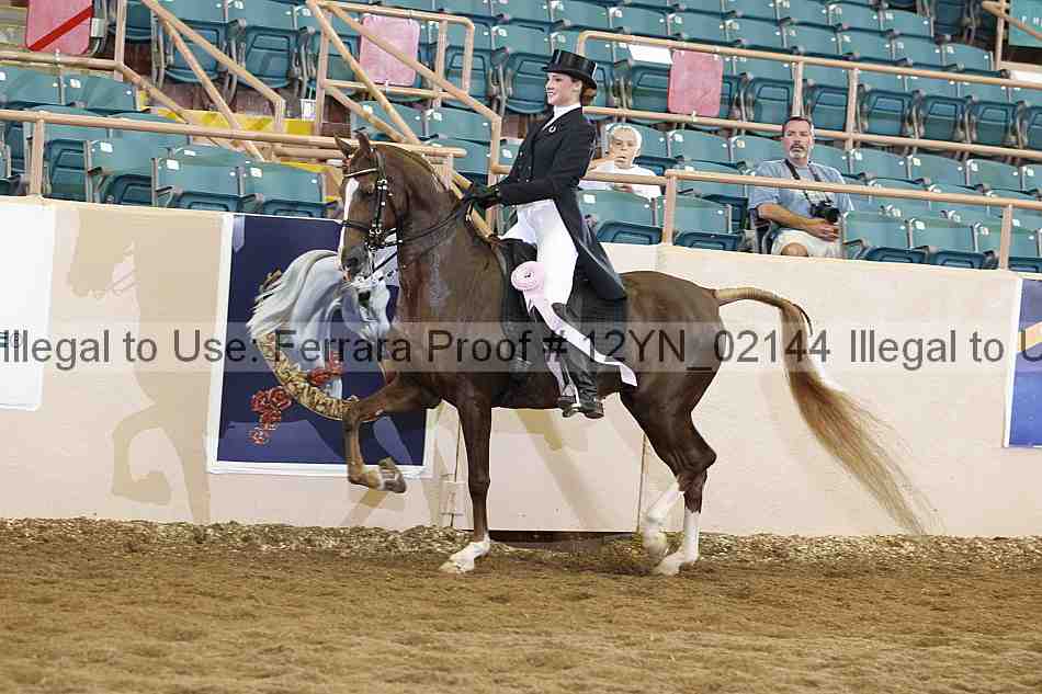 Proof 12yn_02144