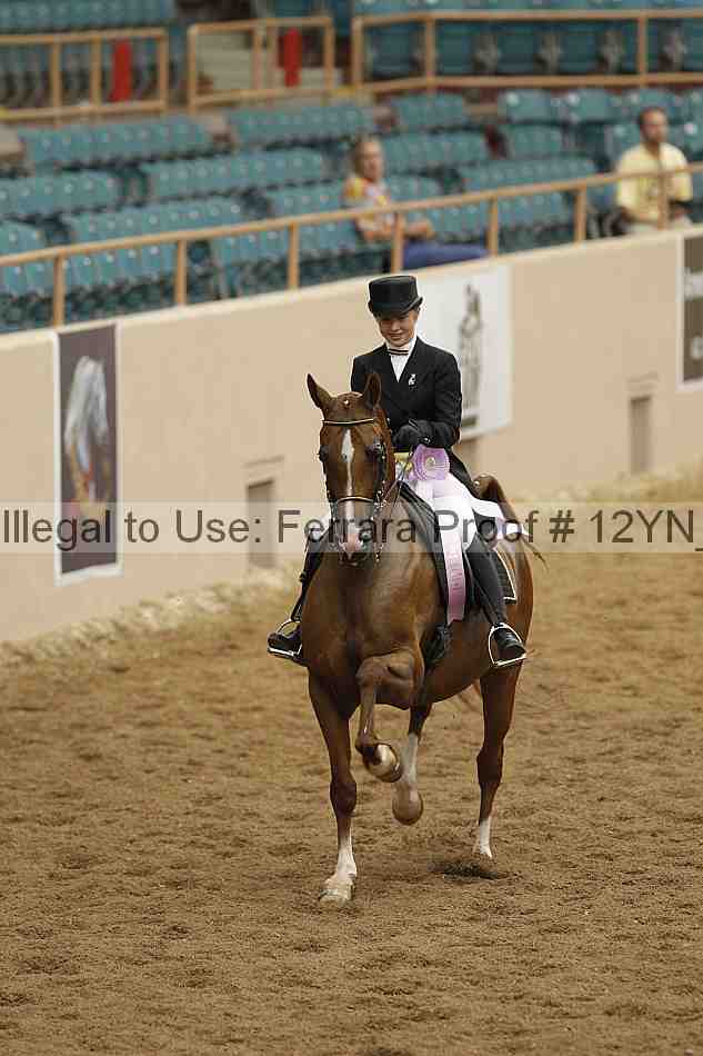 Proof 12yn_02145