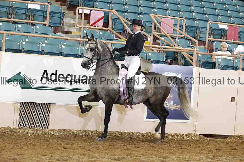 Proof 12yn_02153
