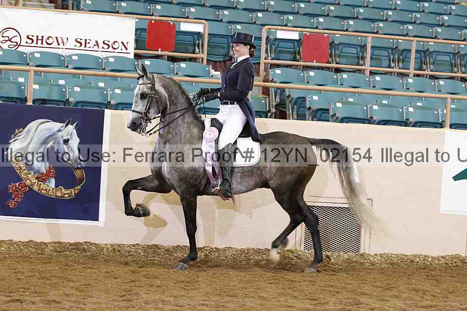Proof 12yn_02154