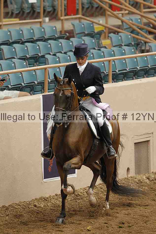 Proof 12yn_02157