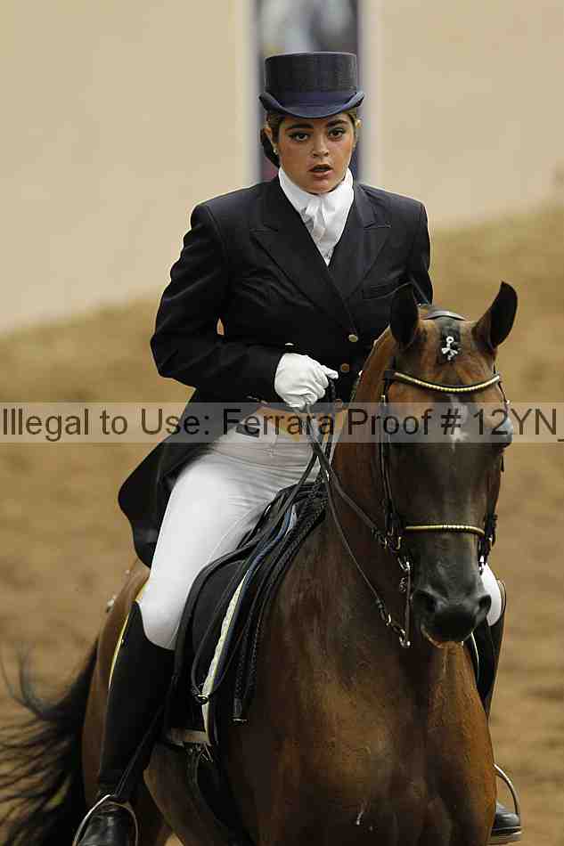 Proof 12yn_02159