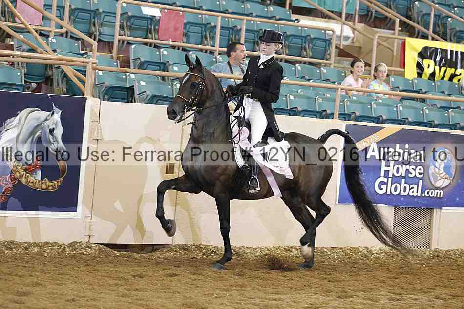 Proof 12yn_02161