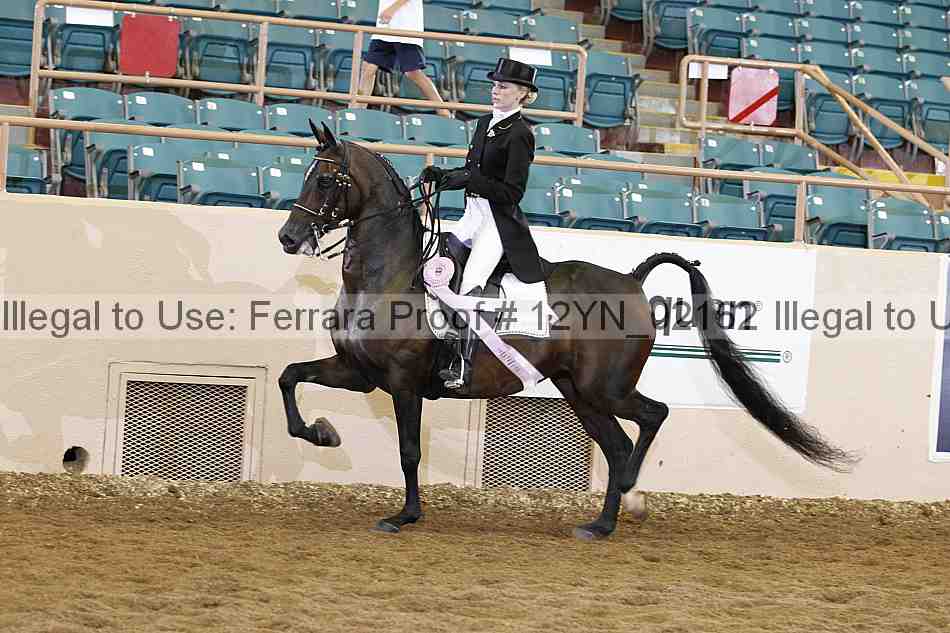 Proof 12yn_02162