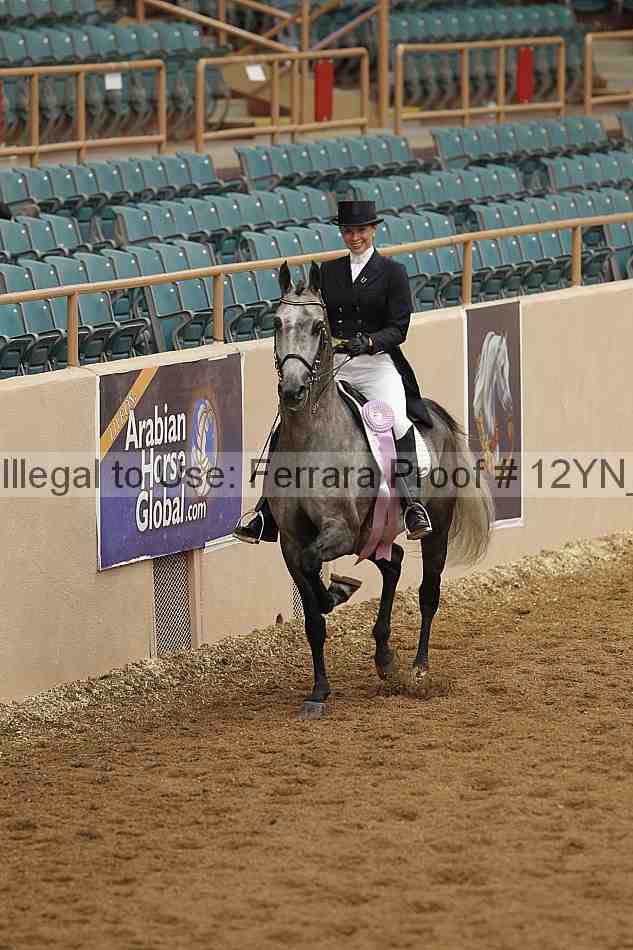 Proof 12yn_02163